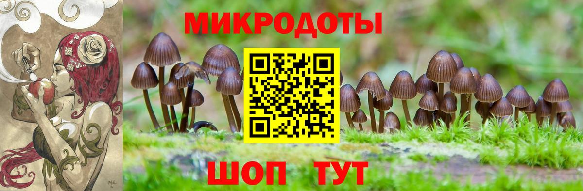 Галлюциногенные грибы мицелий  Псилоцибиновые грибы Cubensis  Наро-Фоминск  Вход с VPN 